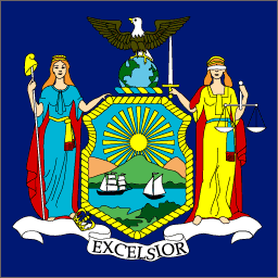 New York Senator Candidates