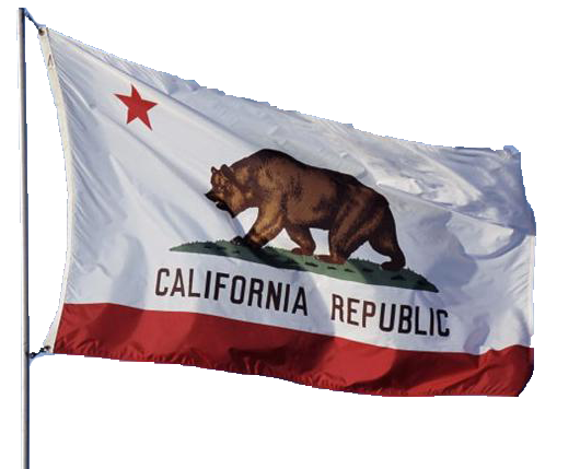 California Senate Candidates