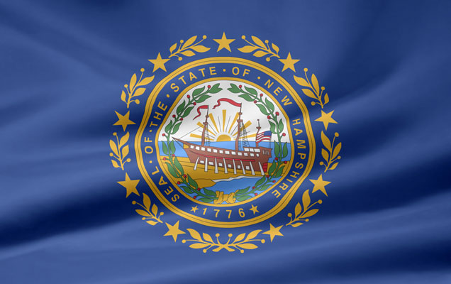 New Hampshire Governor Candidates